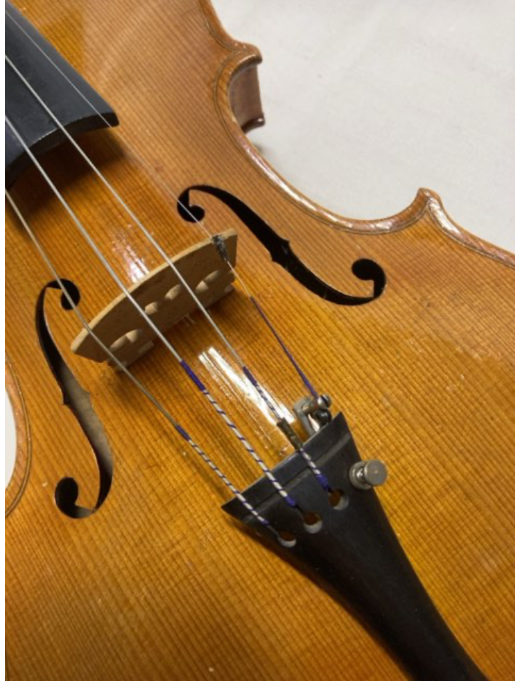 Violin